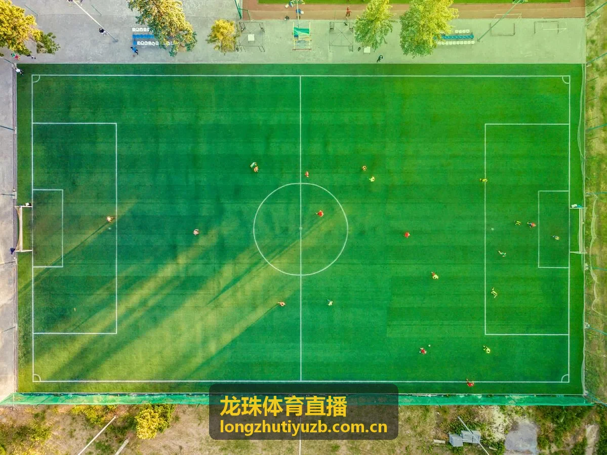 龙珠体育直播移动端快速查看比分场景